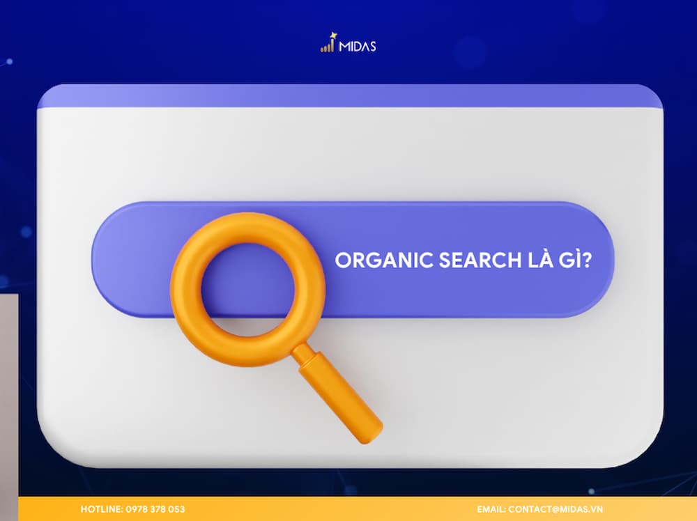 Giới thiệu  về Organic Search. 