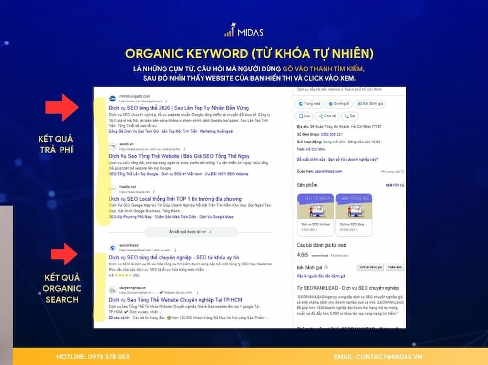 Organic keyword là gì?